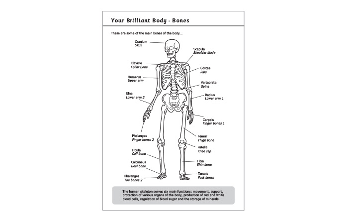 Primary Exercise Book Bespoke Information Pages